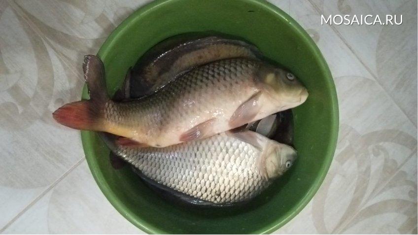 Мозаика