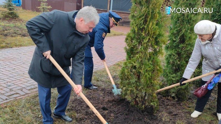 Мозаика