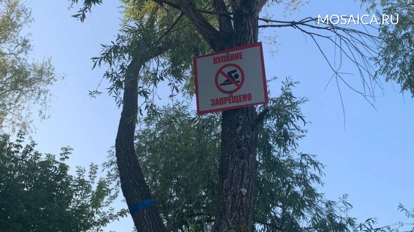 Мозаика
