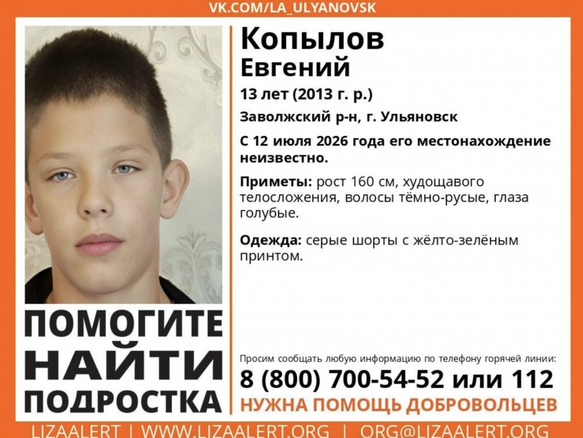фото: ЛизаАлерт Ульяновской области