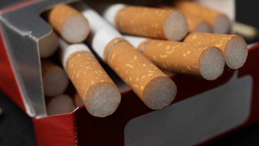 Фото: magnific.com