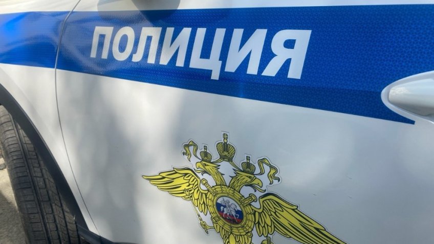 Фото: пресс-служба ОМВД России