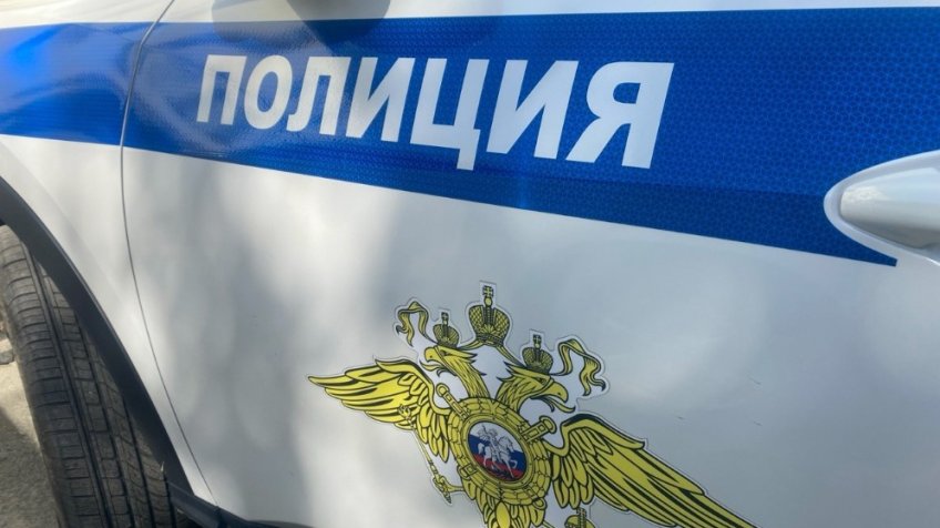 Фото: пресс-служба ОМВД России