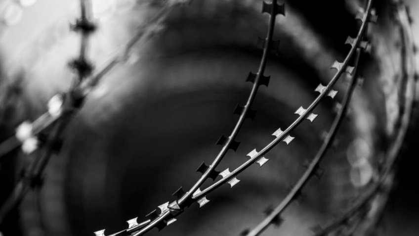 Фото: magnific.com