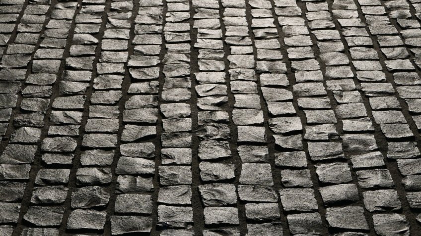 Фото: magnific.com