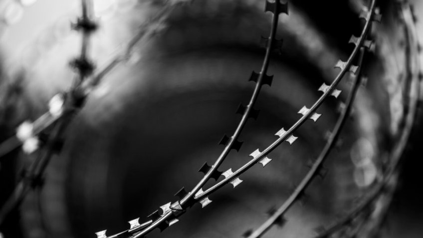 Фото: magnific.com