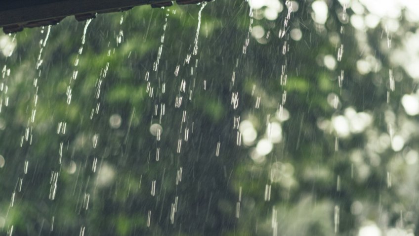 Фото: magnific.com