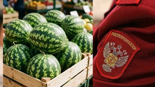 Фото: Роспотребнадзор
