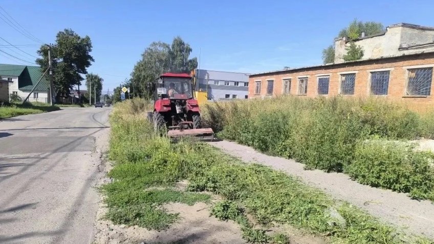 Фото: пресс-служба администрации города Ульяновска