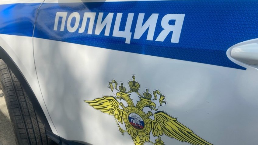 Фото: пресс-служба ОМВД России