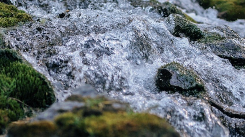 Фото: magnific.com