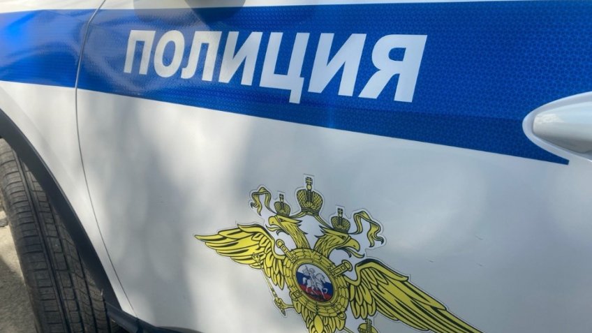 Фото: пресс-служба ОМВД России