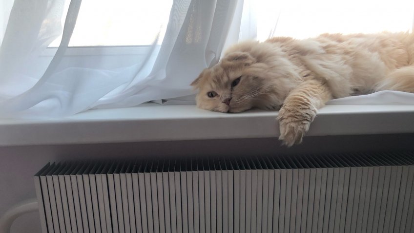 Мозаика