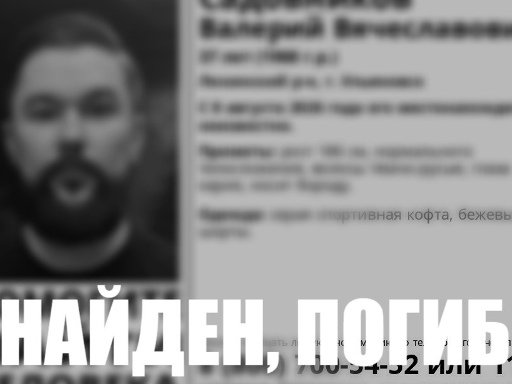 ВК поисковой отряд ЛизаАлерт Ульяновской области 