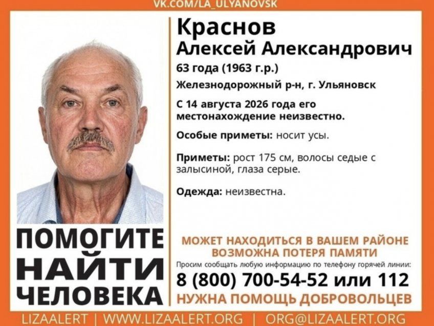 фото: ЛизаАлерт Ульяновской области