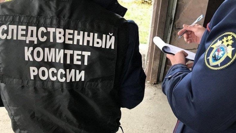 Фото: СУ СКР по Ульяновской области