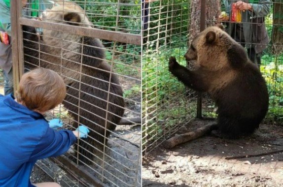 Фото: Симбирский центр ветеринарии