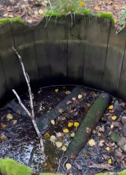 фото с видео Валерия Дубова