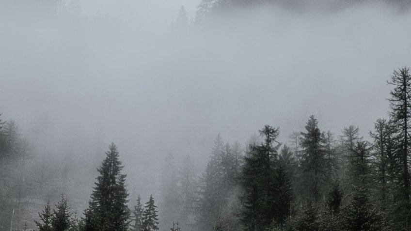 Фото: magnific.com