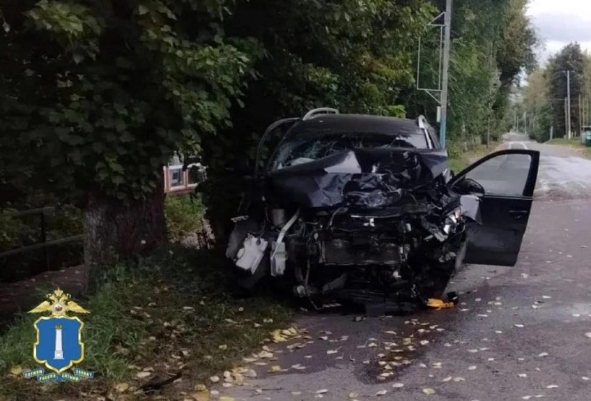 Фото: ГИБДД Ульяновской области