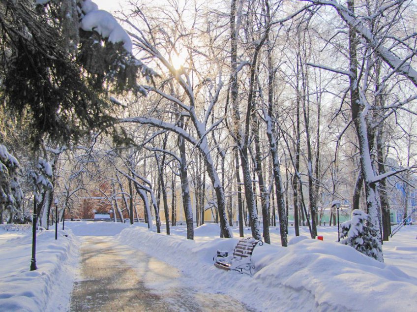 Дмитрий илюшин ульяновск фото