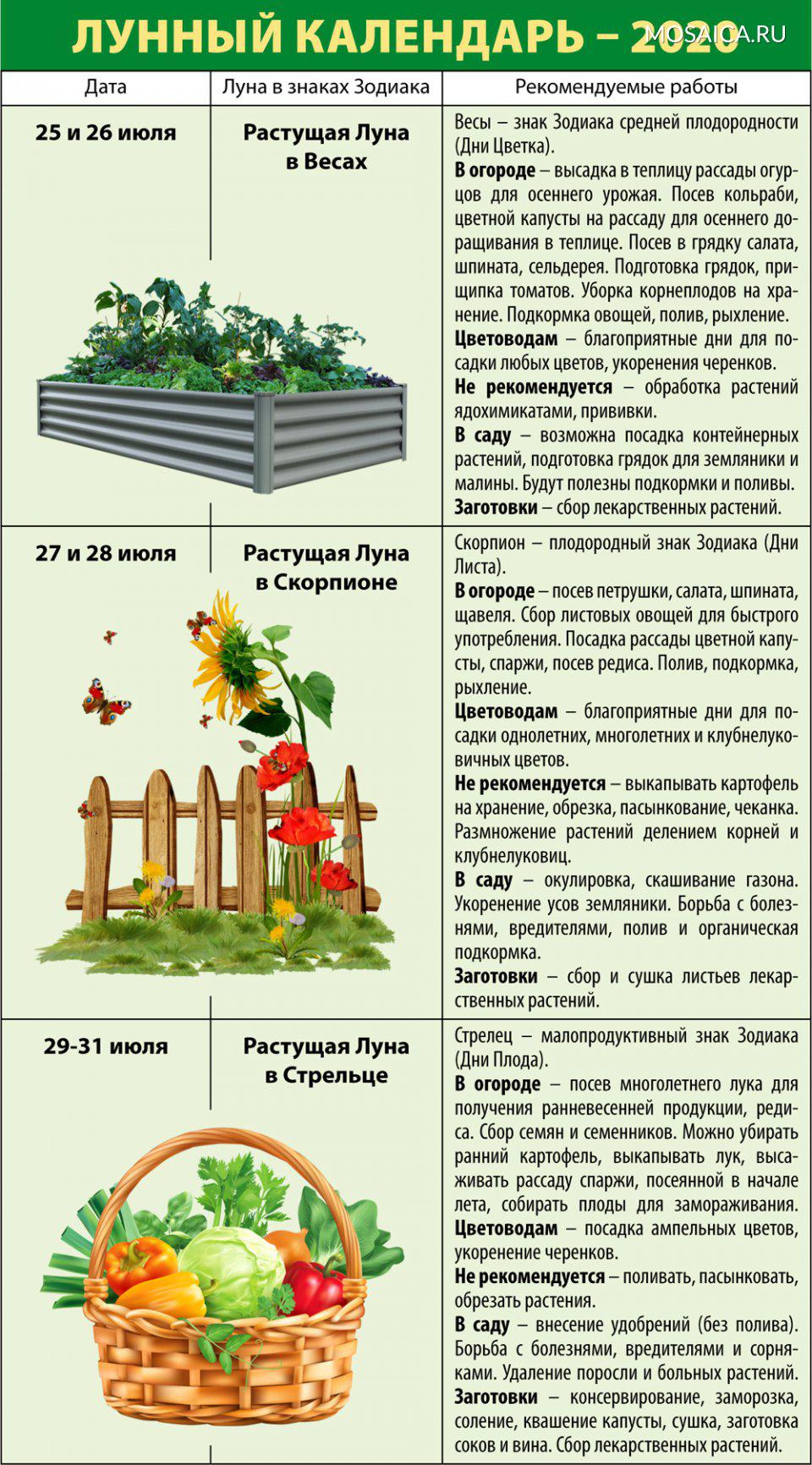 Посевной лунный календарь садовода и огородника на год