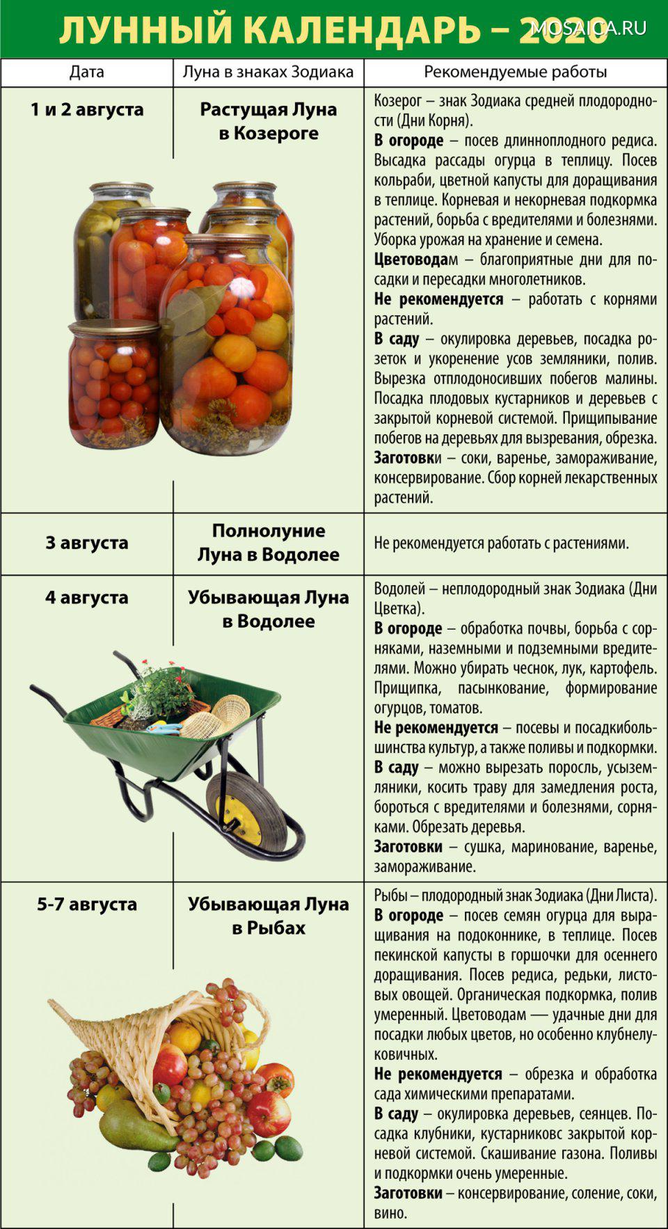 Лунный посевной календарь на октябрь 2024