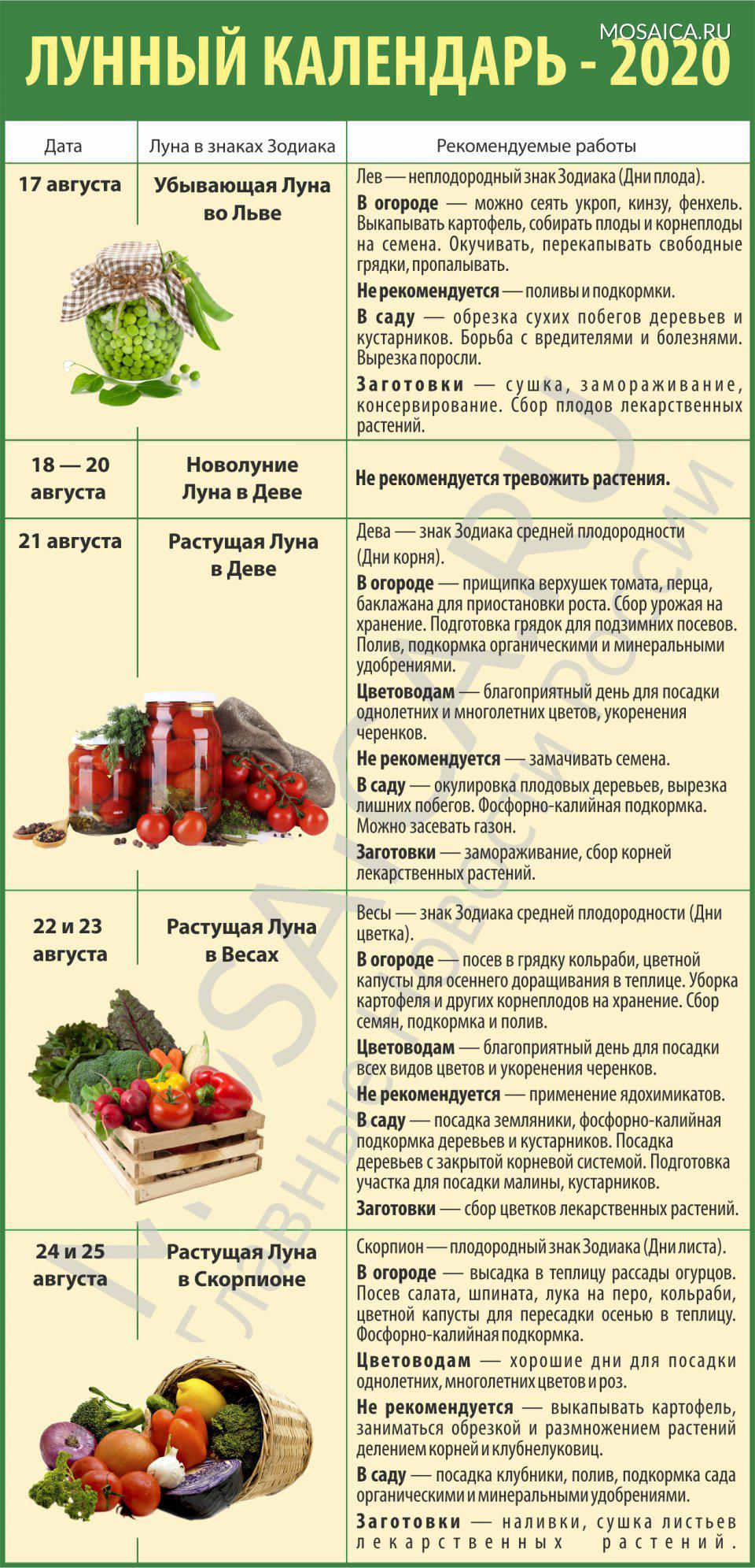 Лунный посевной календарь огородника и садовода 2024 год: Октябрь