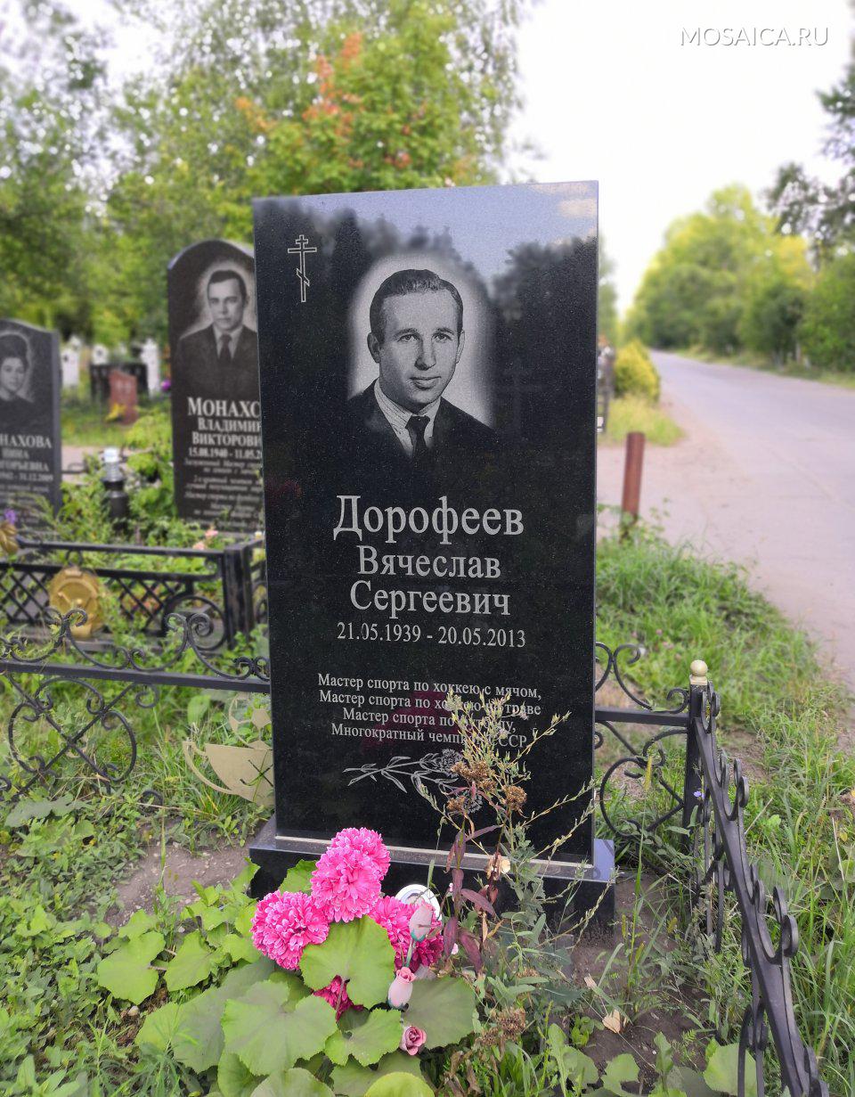 Памятник Николаю Сличенко