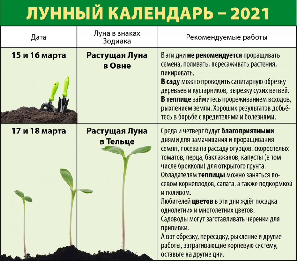 Лунный календарь март 2021 года садовода