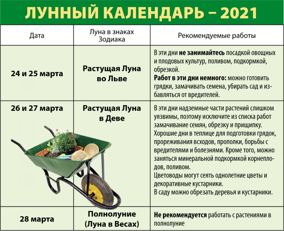 Лунный календарь обрезки деревьев 2023. Лунный календарь на март 2021. Лунный календарь огородника на март 2021. Лунный календарь на арт 2021. Лунный посадочный календарь на март 2021 года садовода и огородника.