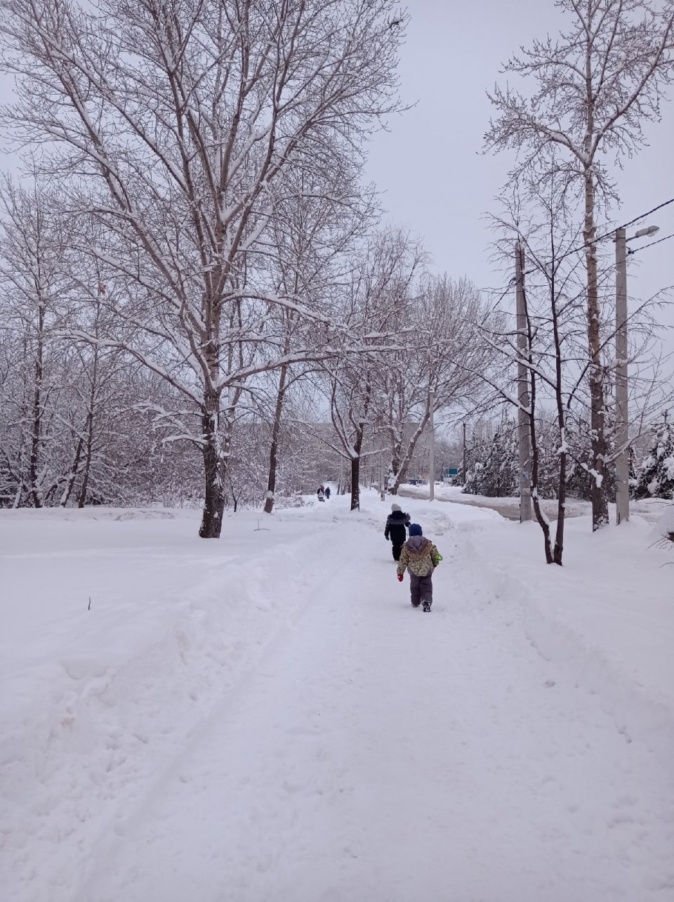 В Московской области оперативно очищают дороги от снега