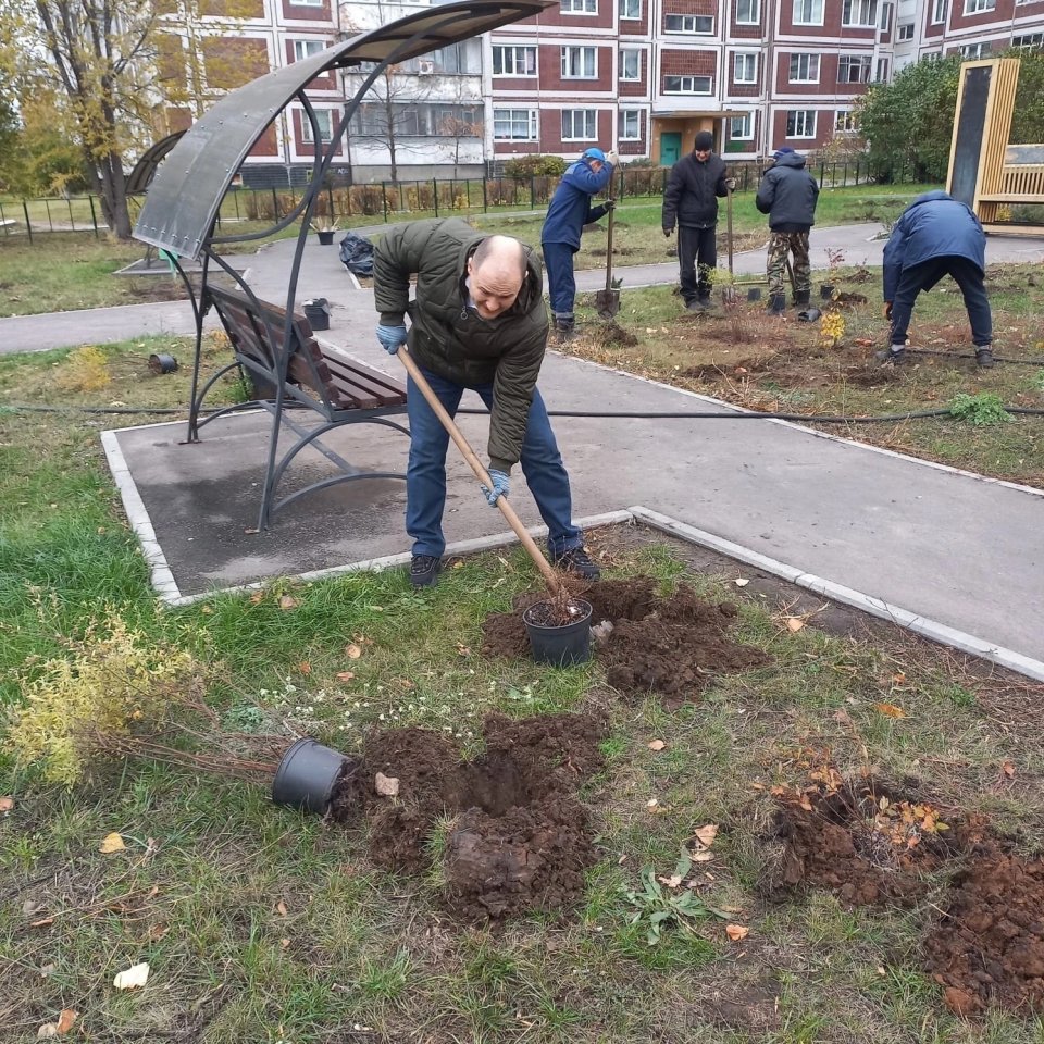 Сквер академика лисицына каток имени