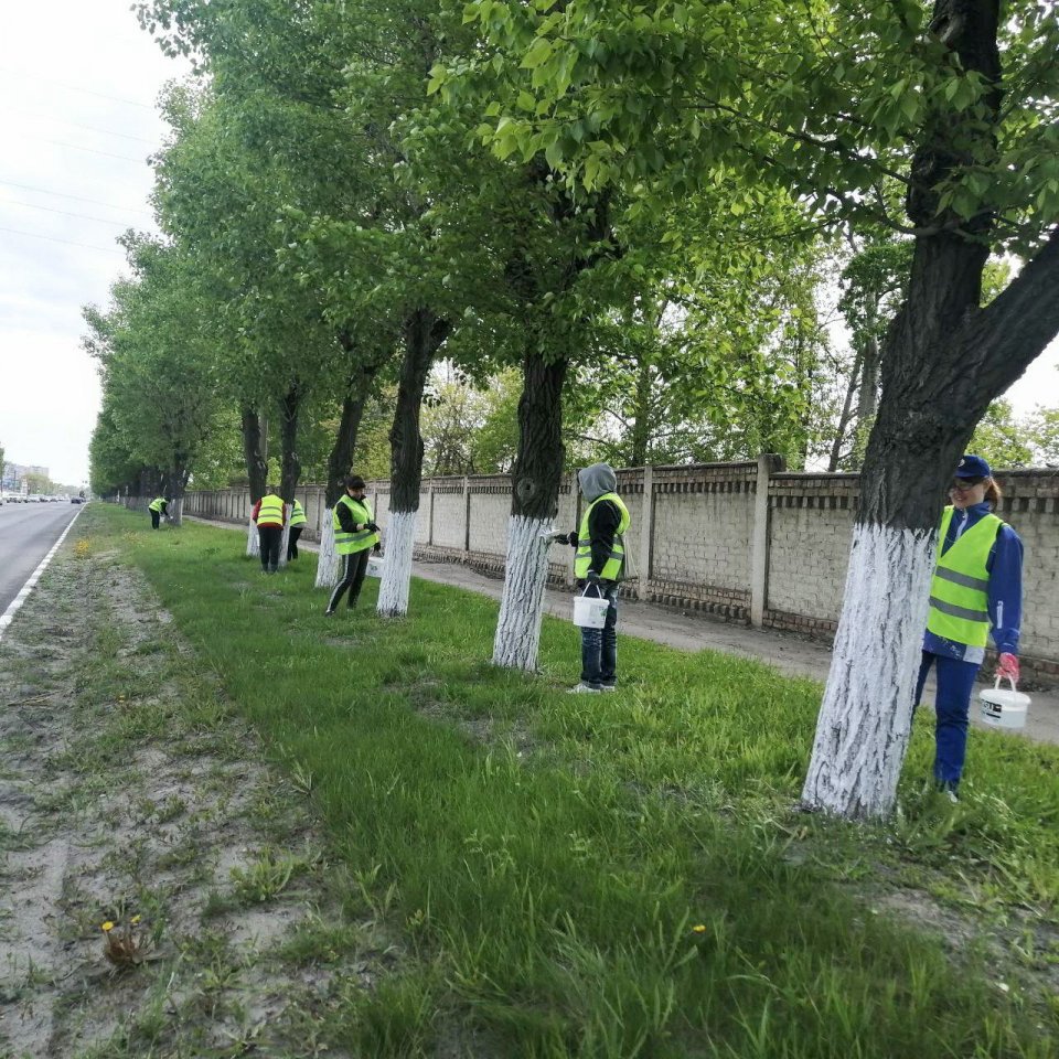 В Ульяновске 17 мая стартовала санитарная пятница: на уборку города вышли  более 3 тысяч человек | Главные новости Ульяновска