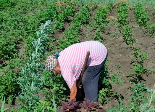 «Майские в Ульяновске: от картошки до Антальи. Куда реально поехать?