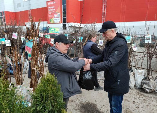 Весенний фейерверк саженцев: «Удачный сезон» подарил праздник ульяновским дачникам  