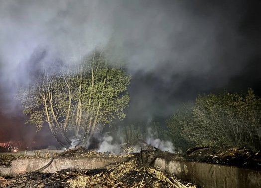 В Ульяновске едва не сгорели заживо 30 собак
