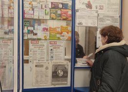 В Ульяновске не хватает льготных лекарств, а Димитровград атакует «мышиная лихорадка»