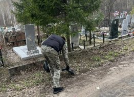 Сдвиг с мёртвой точки: что происходит с кладбищами в Ульяновске и Димитровграде