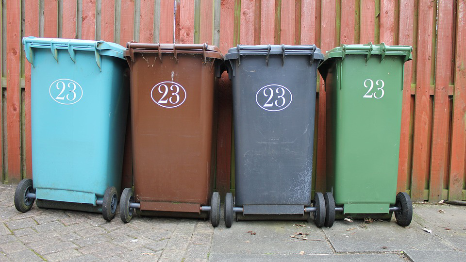 Пять муниципалитетов Подмосковья внедрят раздельный сбор мусора досрочно
