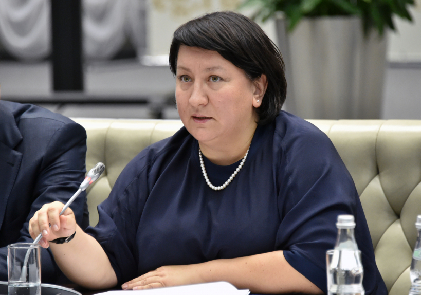 Эльмира Хаймурзина: «В Мособлизбирком поступило 52 обращения о нарушениях, из них 35 - по выборам губернатора»