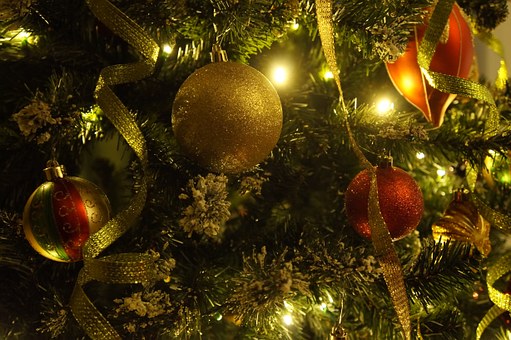 Две губернаторские елки и два ледовых шоу пройдут в Подмосковье в преддверии новогодних праздников