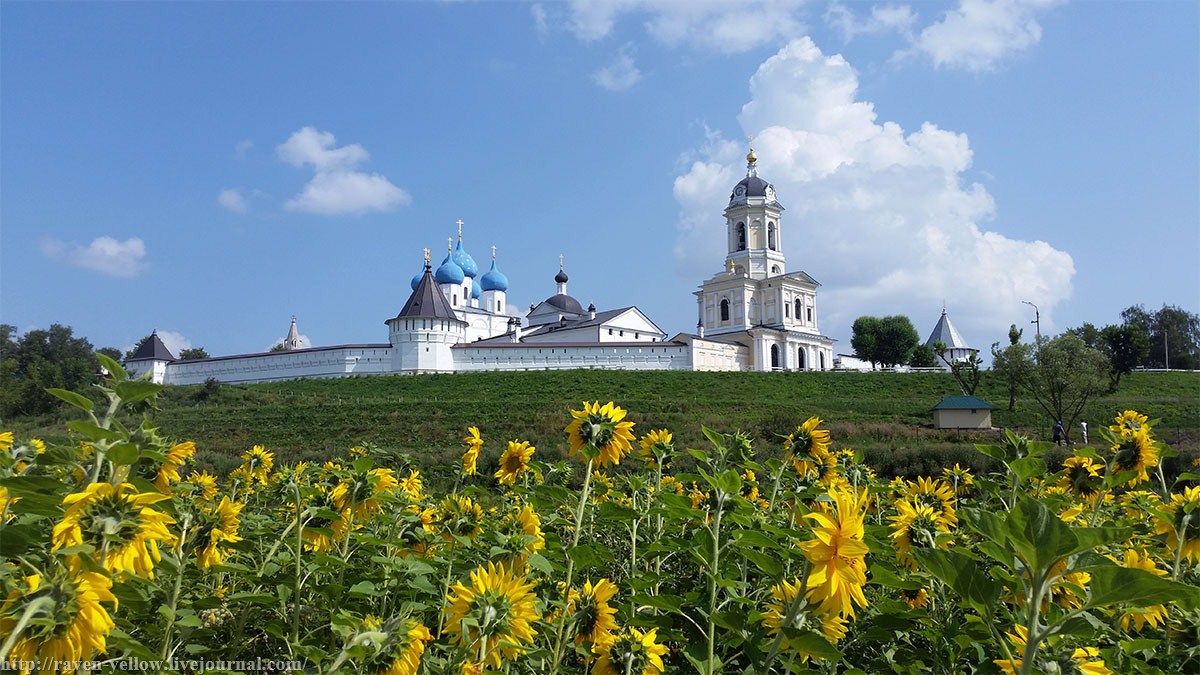 Подмосковный Серпухов стал одним из десяти туристически привлекательных городов России