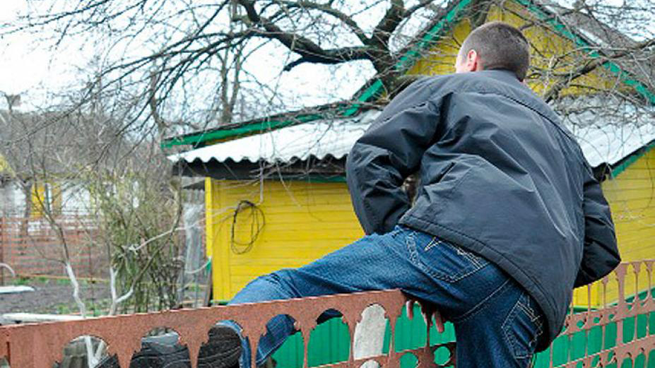 Двое жителей ульяновского поселка обокрали соседские дачи, чтобы обустроить шалаш