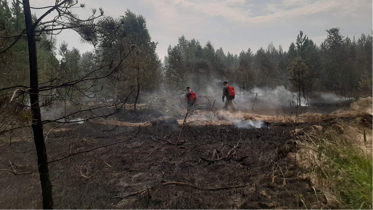 170 человек и 40 спецавтомобилей. В Ульяновской области продолжается тушение лесного пожара