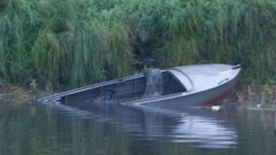 Ульяновские водолазы всю ночь искали утонувшего в Цильнинском районе мужчину