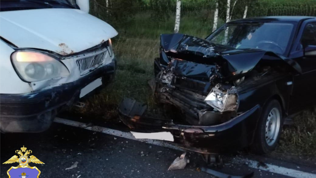 В Ульяновской области водитель грузовой ГАЗели не смог завершить обгон. Пострадал мужчина