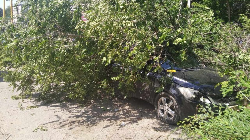 В Ульяновске автомобиль с людьми раздавило упавшей с дерева веткой. Спасатели достали пострадавших