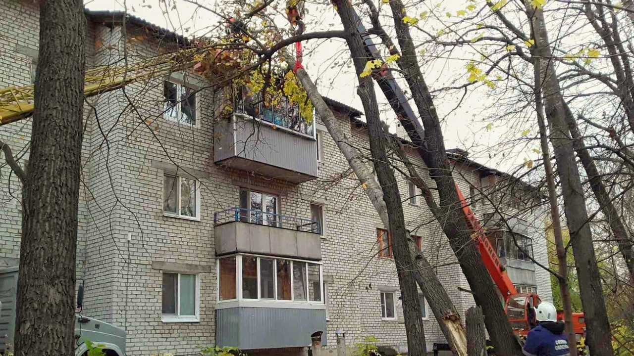 В Ульяновске дерево упало на жилой дом