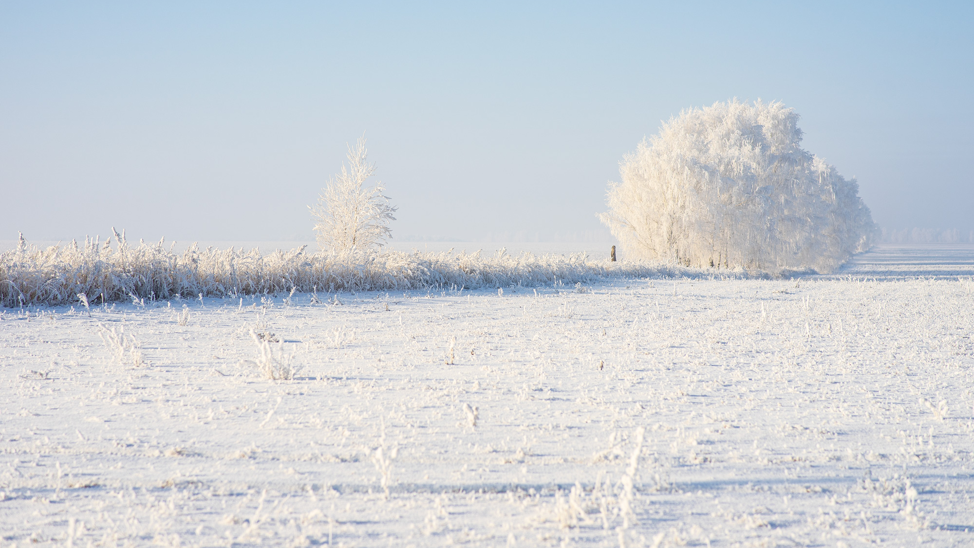 7 декабря 2018 года. Погода фото зима4s для вотосап.